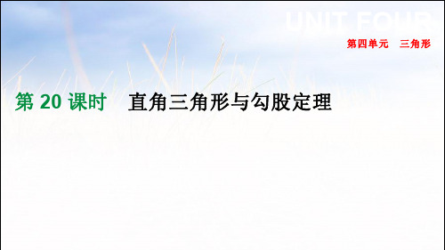 中考数学一轮复习课件：第20课时 直角三角形与勾股定理