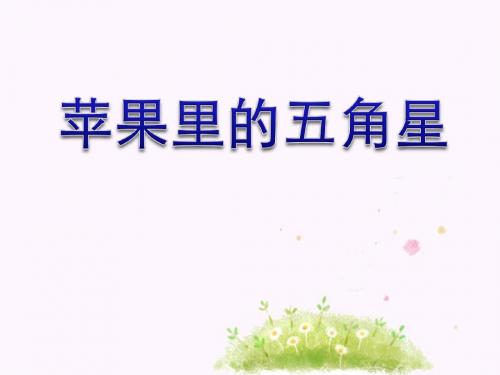 《苹果里的五角星》精品ppt课件4