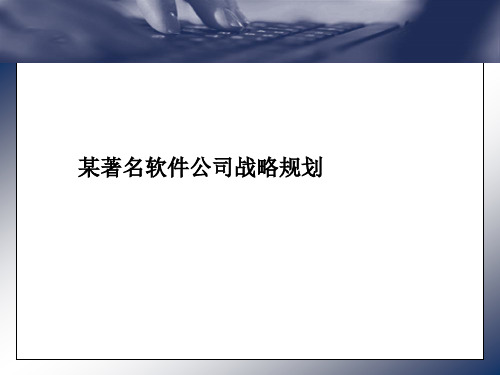 某著名软件公司战略规划