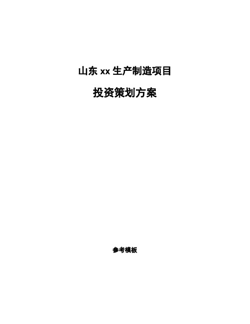 山东xx生产制造项目投资策划方案