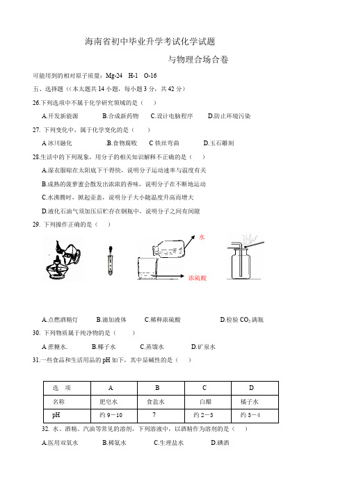 海南省初中毕业升学考试(化学).doc