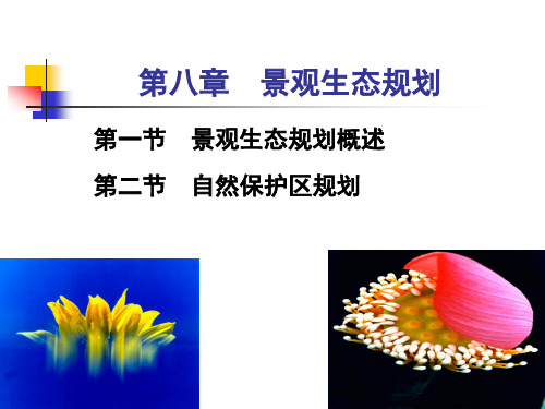 景观生态学课件第八章 景观生态规划