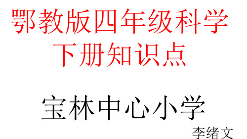 鄂教版四年级科学下册知识点