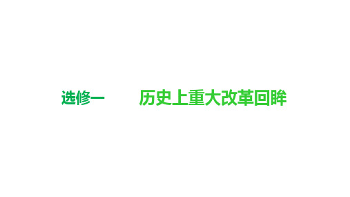 高考历史总复习课件-古代历史上的重大改革