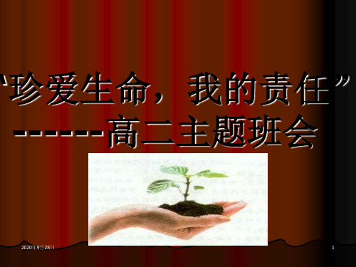 “珍爱生命-我的责任”主题班会解析PPT课件