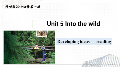 Unit 5 Into the wild 课件-高一英语(外研版2019必修第一册)