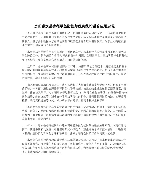 贵州惠水县水稻绿色防控与统防统治融合应用示范