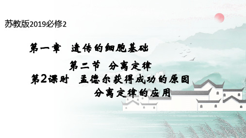 1.2 分离定律(第2课时)(课件)高一生物下册(苏教版2019必修2)