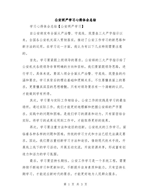 公安两严学习心得体会总结