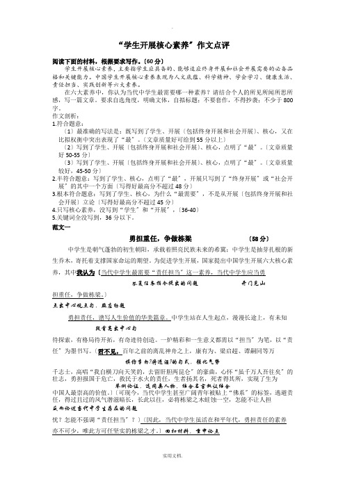 学生发展核心素养作文点评