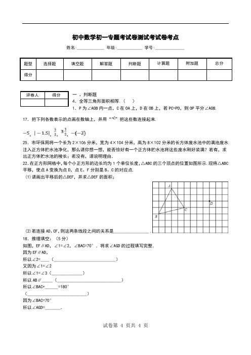 初中数学初一专题考试卷测试考试卷考点.doc