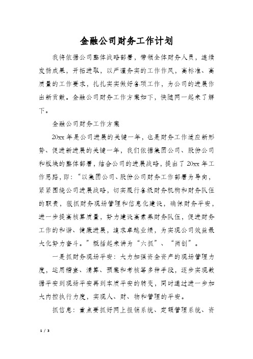 金融公司财务工作计划