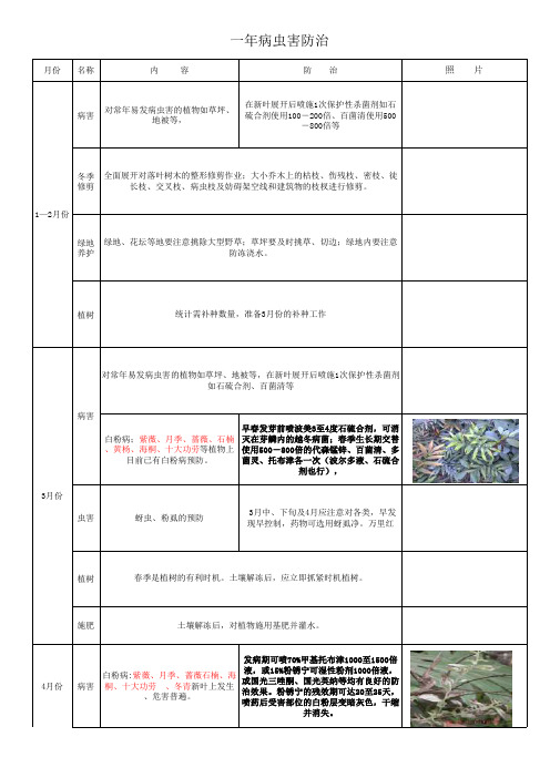 常见景观苗木一年病虫害防治工作表