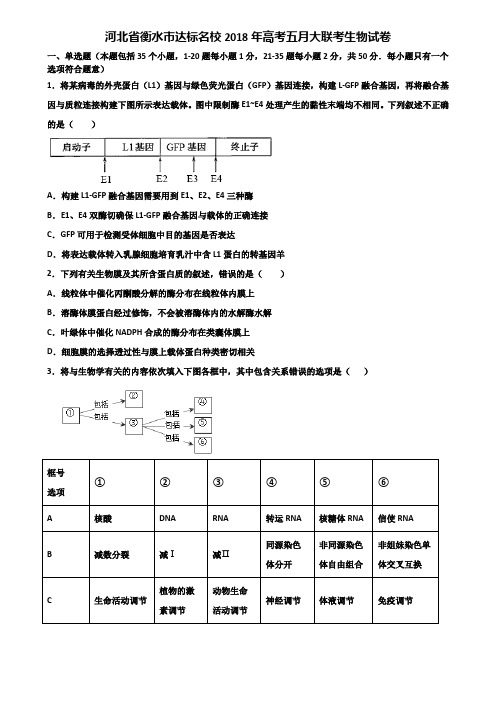 河北省衡水市达标名校2018年高考五月大联考生物试卷含解析