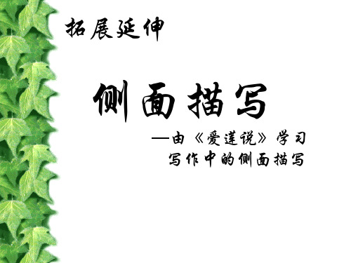 部编版人教版初一七年级语文下册《侧面描写》名师课件