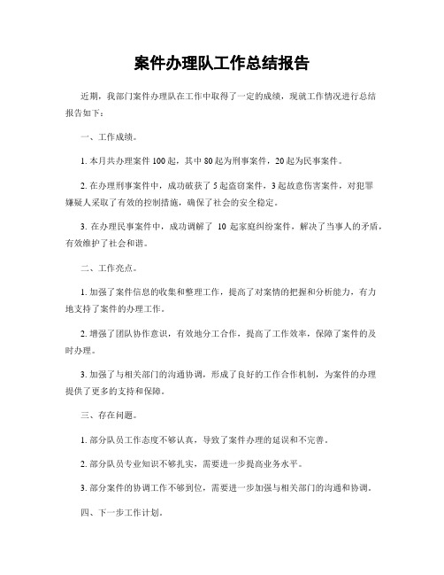 案件办理队工作总结报告