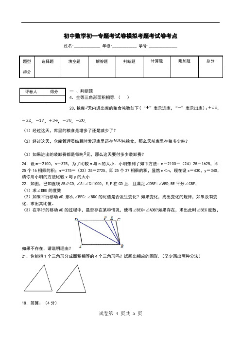 初中数学初一专题考试卷模拟考题考试卷考点.doc