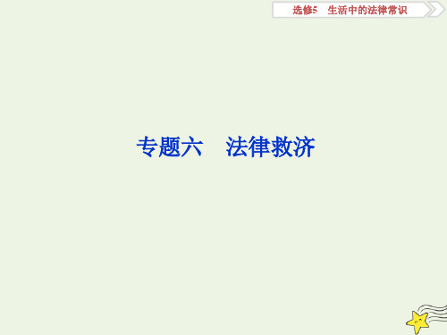 (浙江选考)2020版高中政治总复习专题六法律救济课件(选修5)