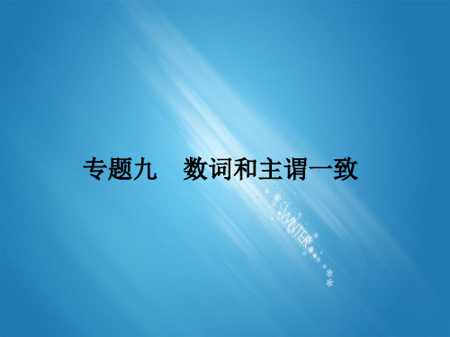 高考英语 二轮复习 专题9 数词和主谓一致  知识点归纳练习 精品PPT课件