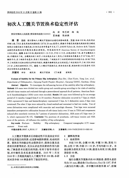 初次人工髋关节置换术稳定性评估