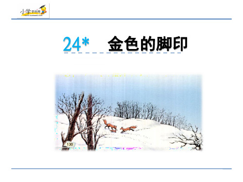 六年级上册语文课件24 金色的脚印_人教新课标 (共17张PPT)