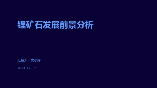 锂矿石发展前景分析