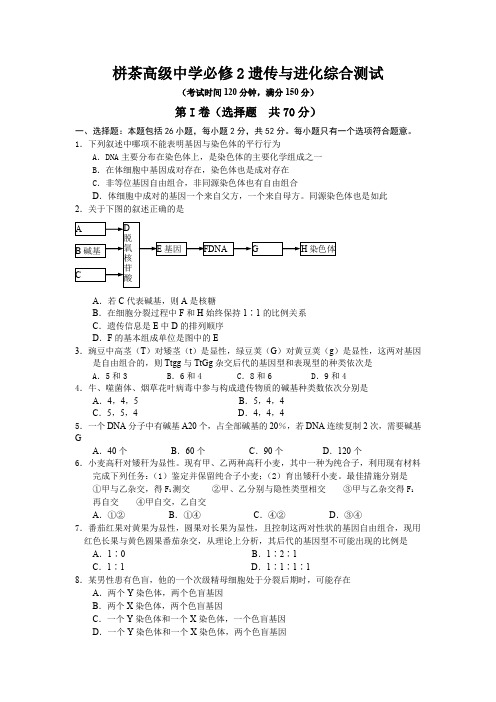 高二生物必修2遗传与进化综合测试.doc