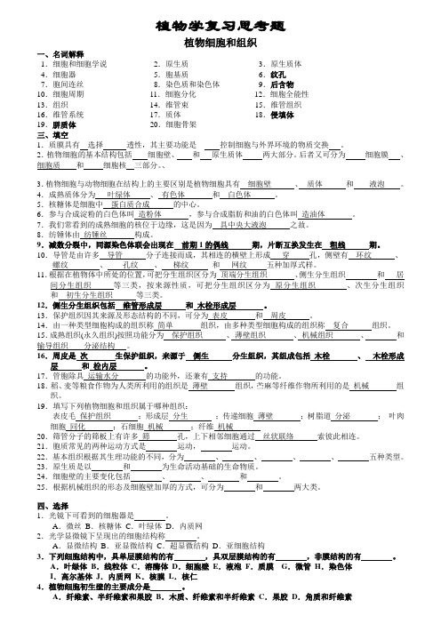 植物学复习试题与答案(1)