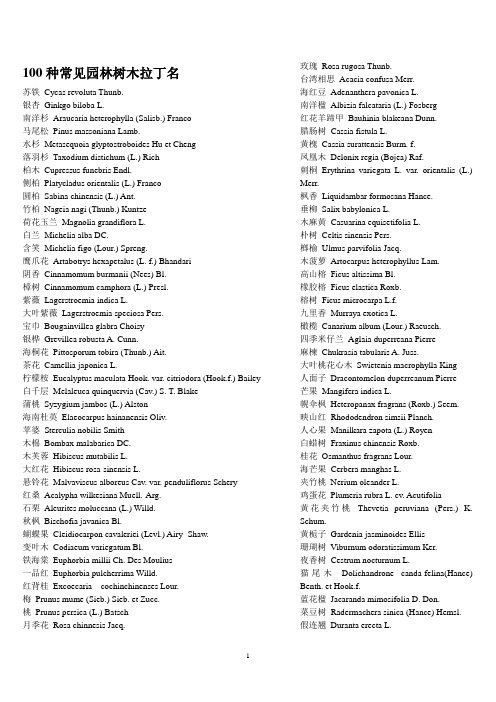 100种常见园林树木拉丁名