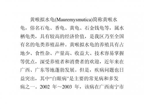 黄喉拟水龟“白眼病”的防治