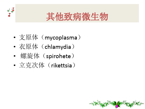 其他致病微生物PPT课件