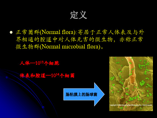 正常菌群与人体关系