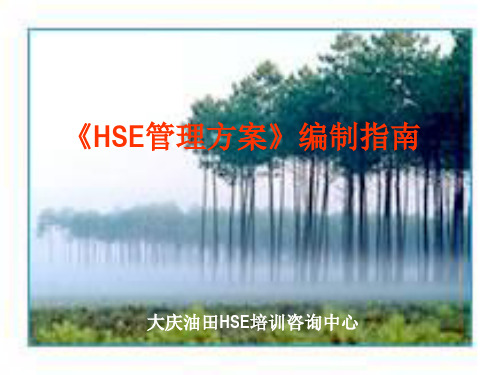 HSE管理方案
