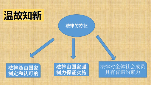 道德与法治《法律为我们护航》部编版课件ppt2