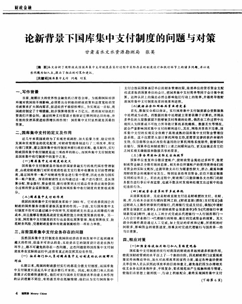 论新背景下国库集中支付制度的问题与对策