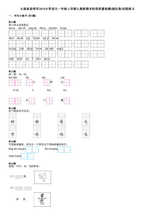 云南省昆明市2024小学语文一年级上学期人教版期末阶段质量检测(强化卷)巩固练习