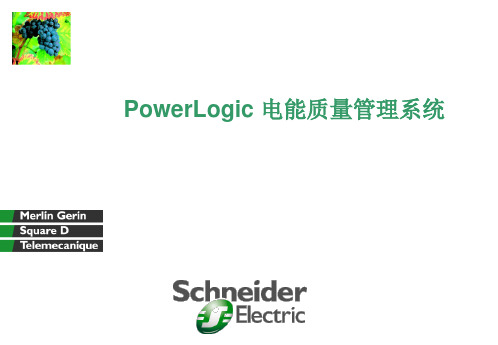 PowerLogic电能质量监控系统