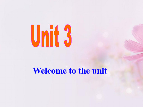 牛津译林英语 九年级上册Unit3Welcome (共28张PPT)