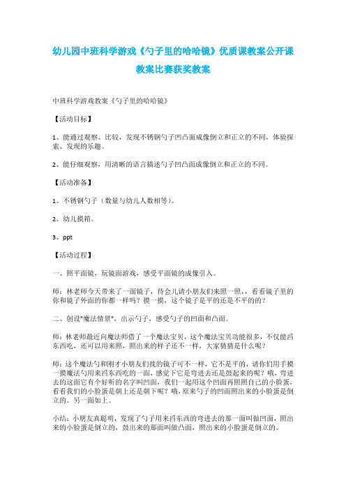 幼儿园中班科学游戏《勺子里的哈哈镜》优质课教案公开课教案比赛获奖教案