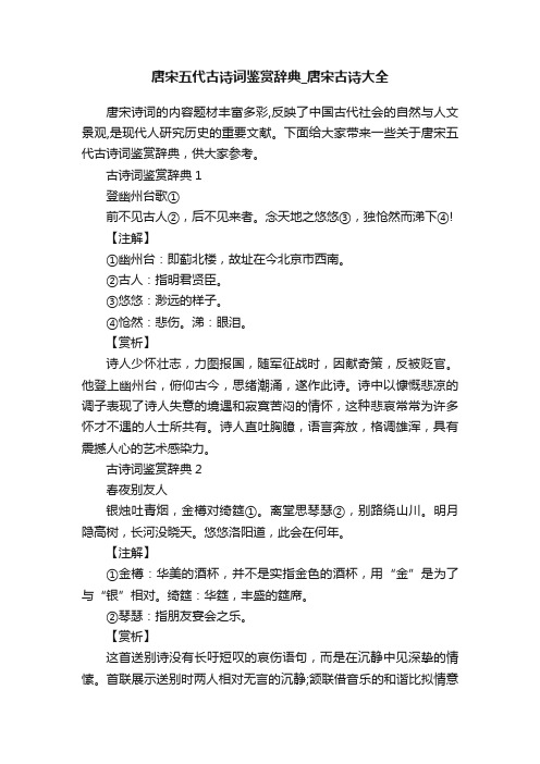 唐宋五代古诗词鉴赏辞典_唐宋古诗大全