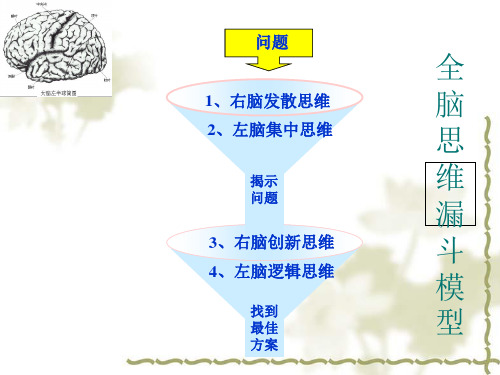 右脑创新思维与左脑集中思维