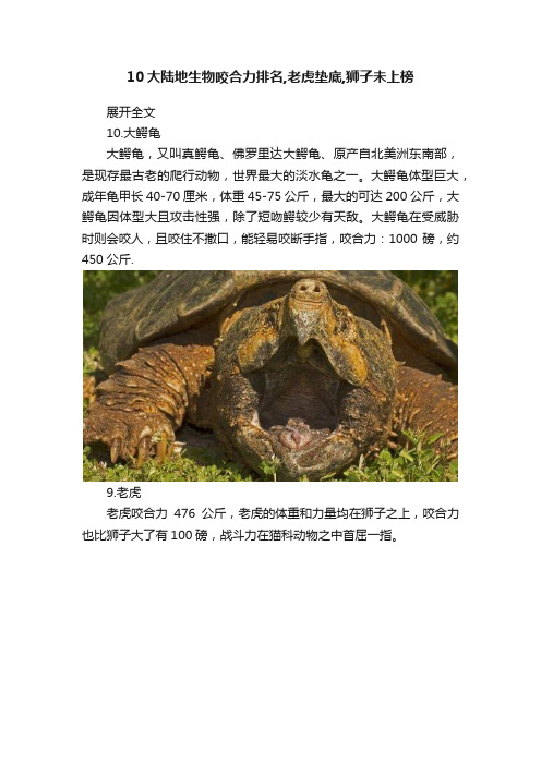 10大陆地生物咬合力排名,老虎垫底,狮子未上榜