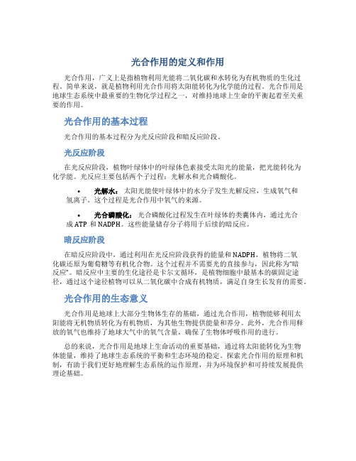 光合作用指的是什么