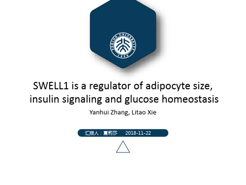 SWELL蛋白