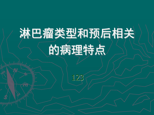 淋巴瘤类型和预后相关的病理特点