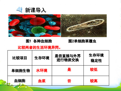 人教版高中生物必修3 第1章第1节细胞生活的环境(课件) (共15张PPT)