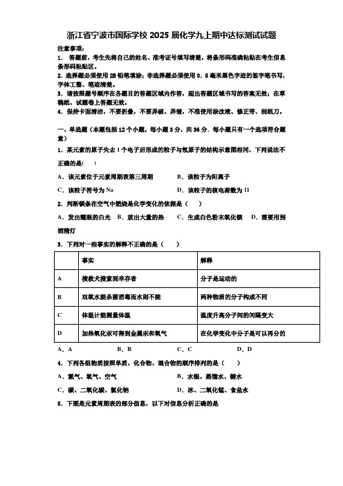 浙江省宁波市国际学校2025届化学九上期中达标测试试题含解析