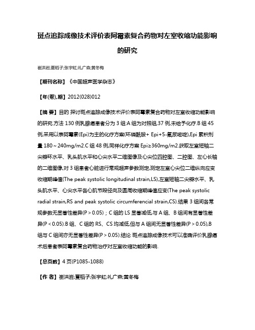 斑点追踪成像技术评价表阿霉素复合药物对左室收缩功能影响的研究