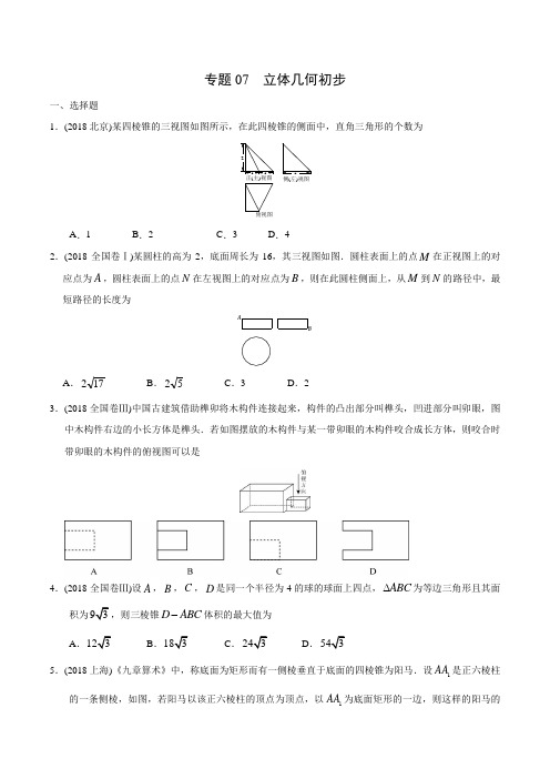 高考数学历年真题练习：专题07 立体几何-2020年高考数学(理)二轮专项习题练(原卷版)