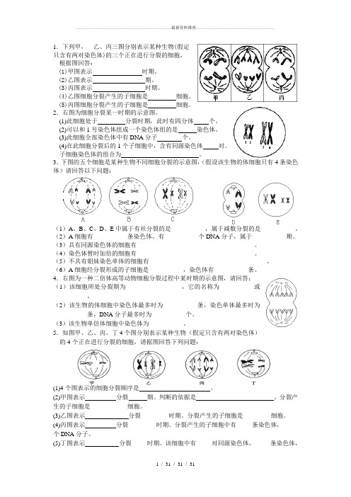 减数分裂图像专项练习